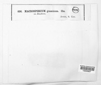 Image Associated With the Occurence